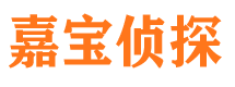 绵阳市私家侦探